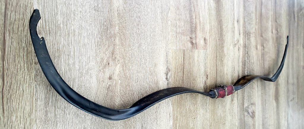 Vespula Vulgaris - Mongolian Recurve