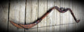 Robin Hood - Recurve Bow