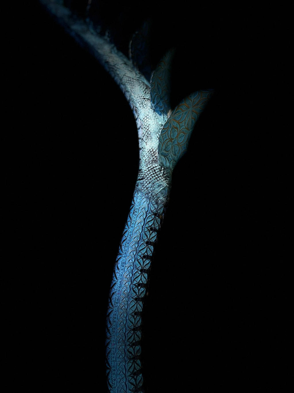 Endless - Recurve Bow