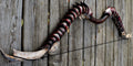 Grimskull - Recurve Bow