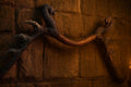 The Serpent’s Coil | Handcrafted Snake Bow