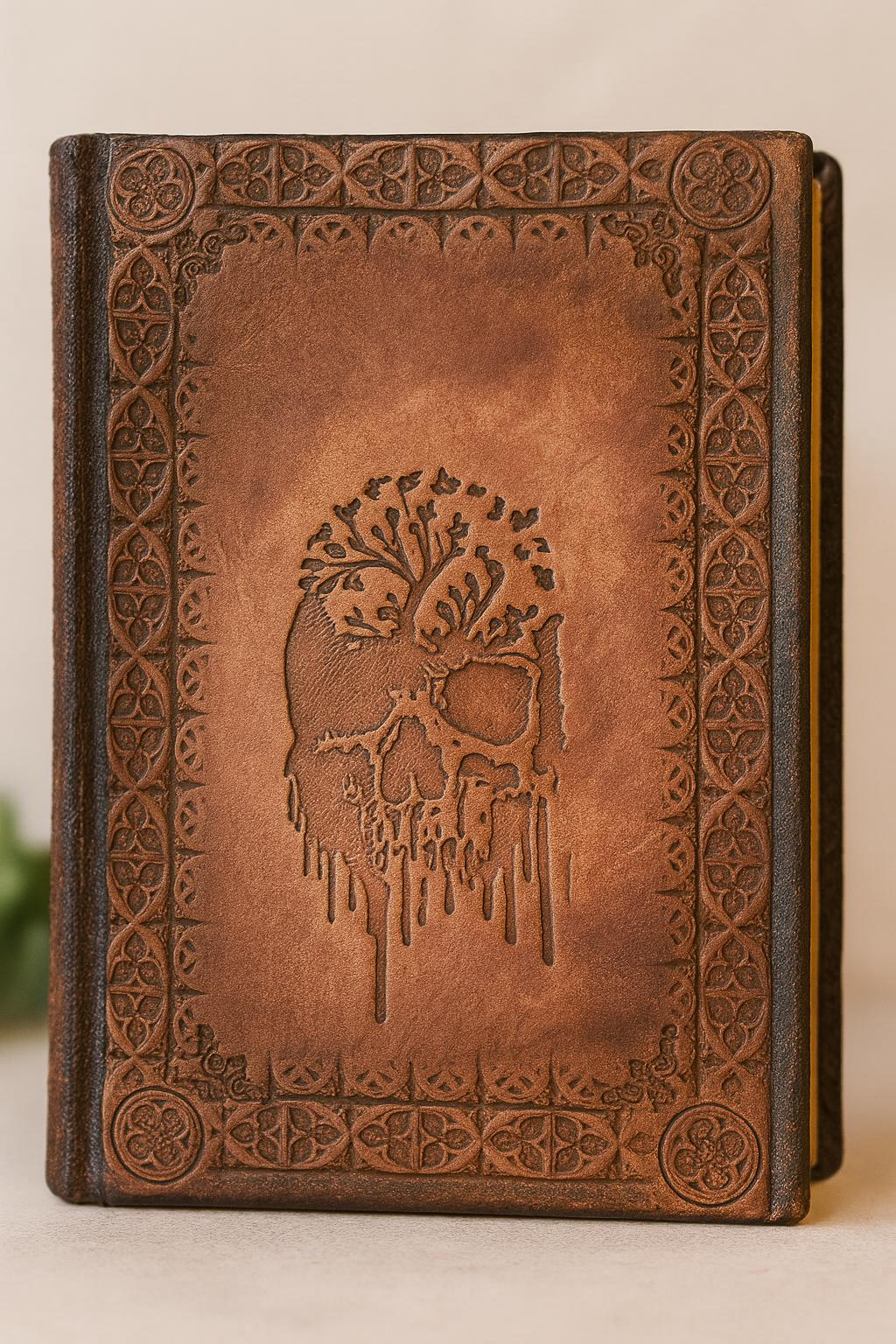 Edgar Allan Poe – Leather Collector’s Edition