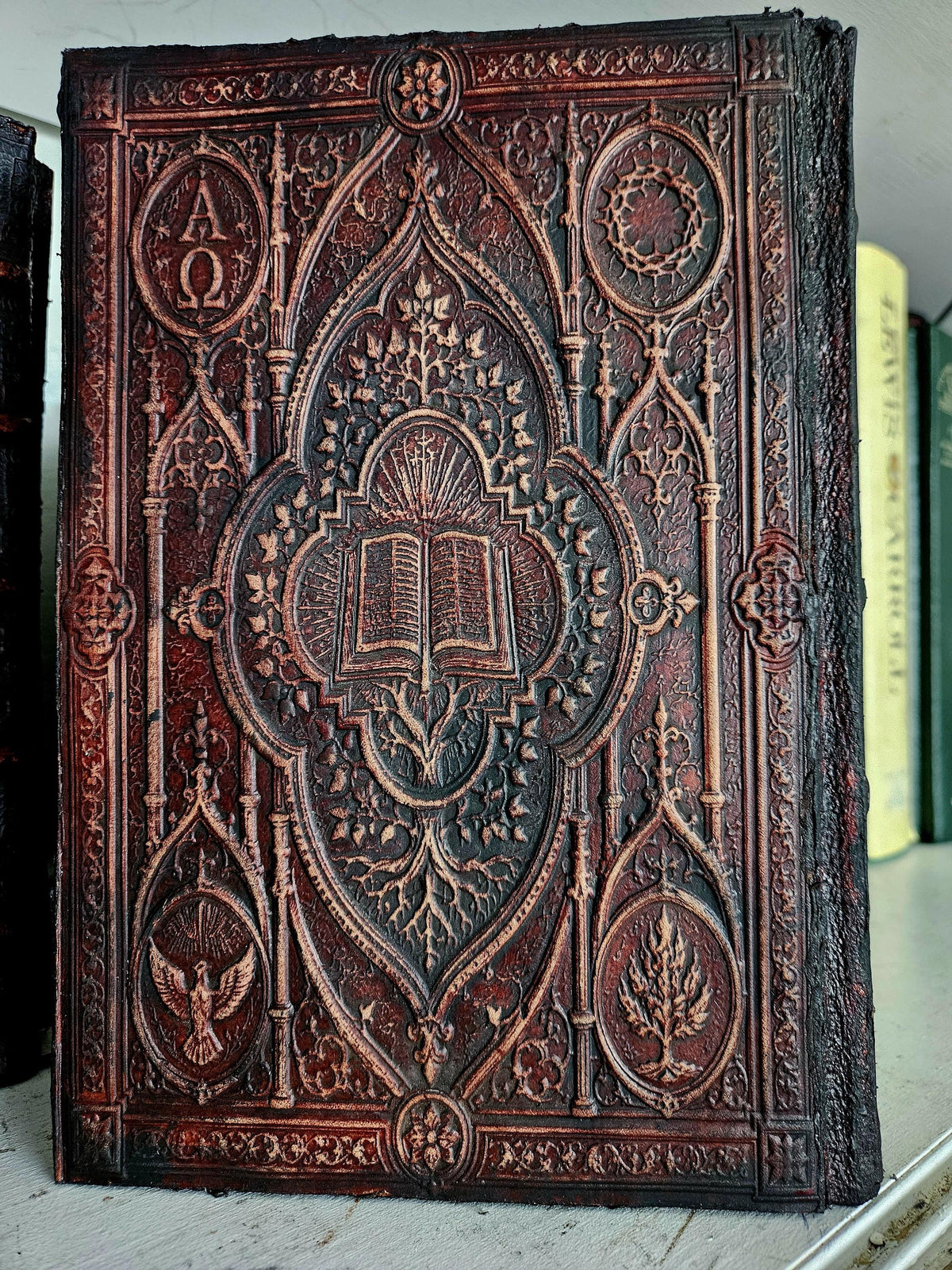 Leather-Bound Bible | Custom Rebound Holy Bible