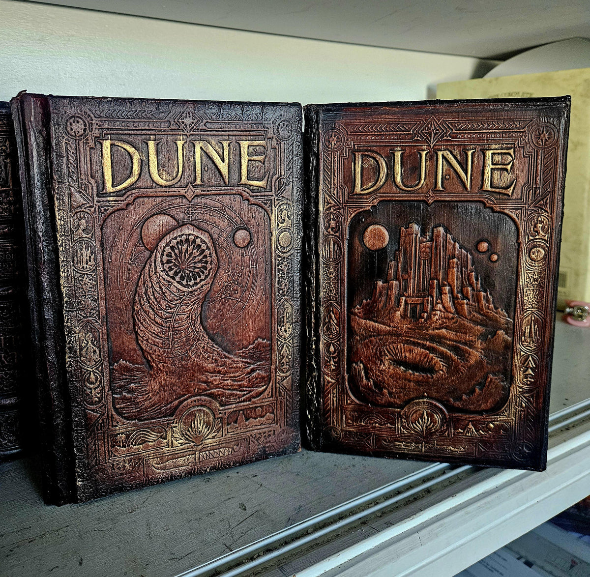 Two Dune related front views — supplied binding photograph