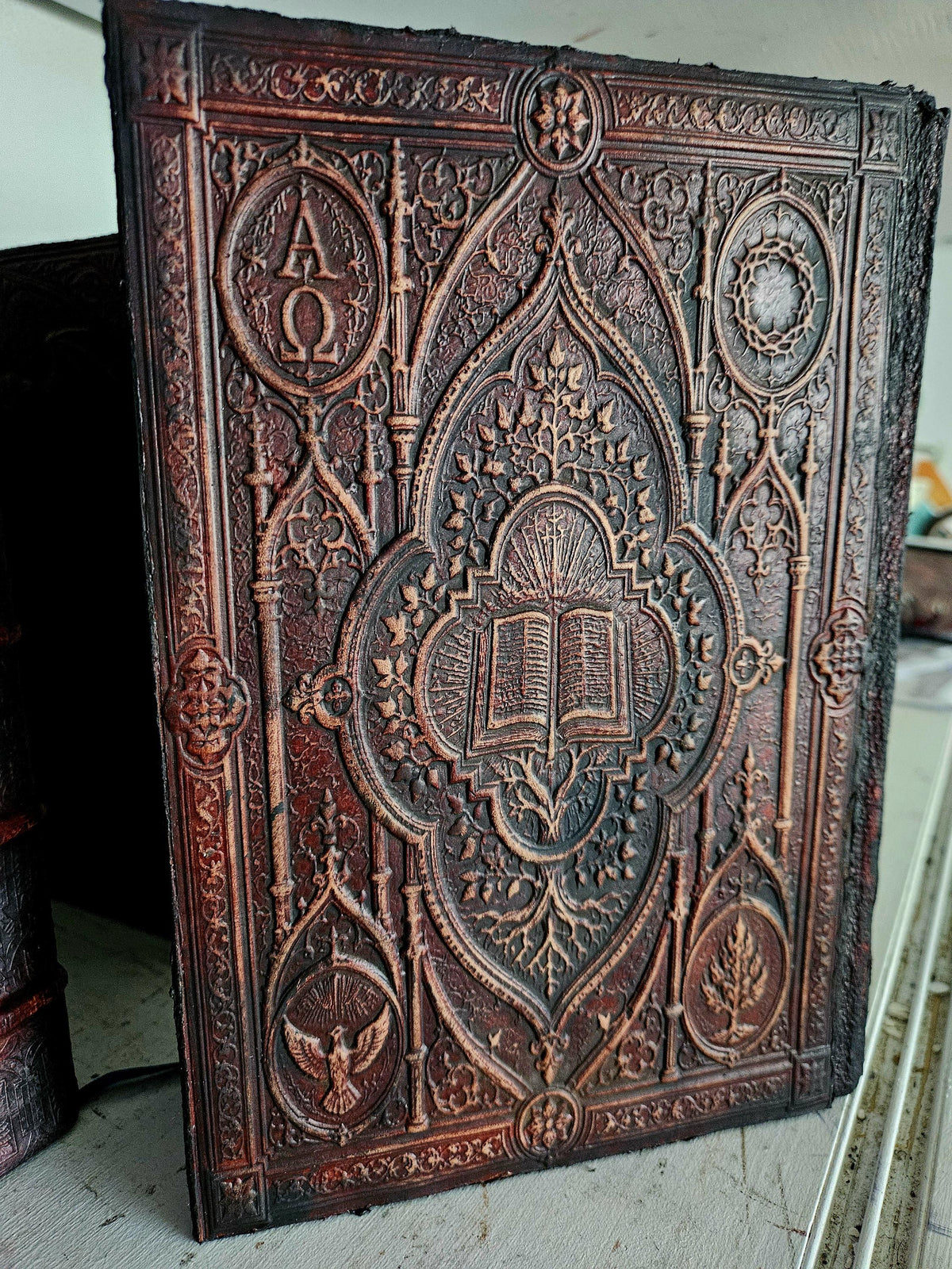 Bible rear alternate angle — supplied binding photograph